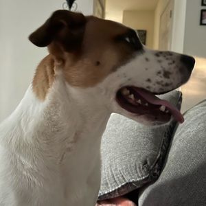 Meet your Posher, Charles